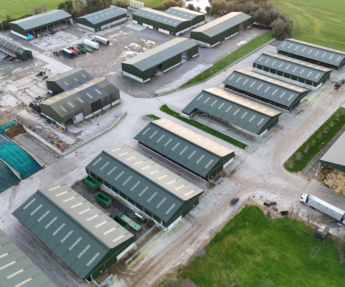 WhatsApp Image 2025-11-20 at 10.09.01 (1)