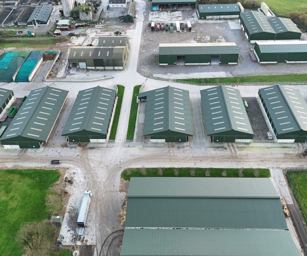 WhatsApp Image 2025-11-20 at 10.09.01