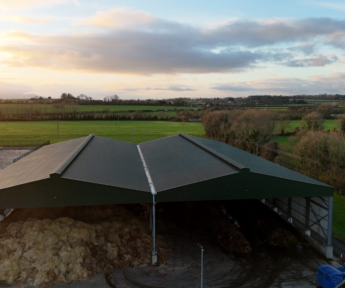 WhatsApp Image 2025-11-20 at 10.09.03 (1)