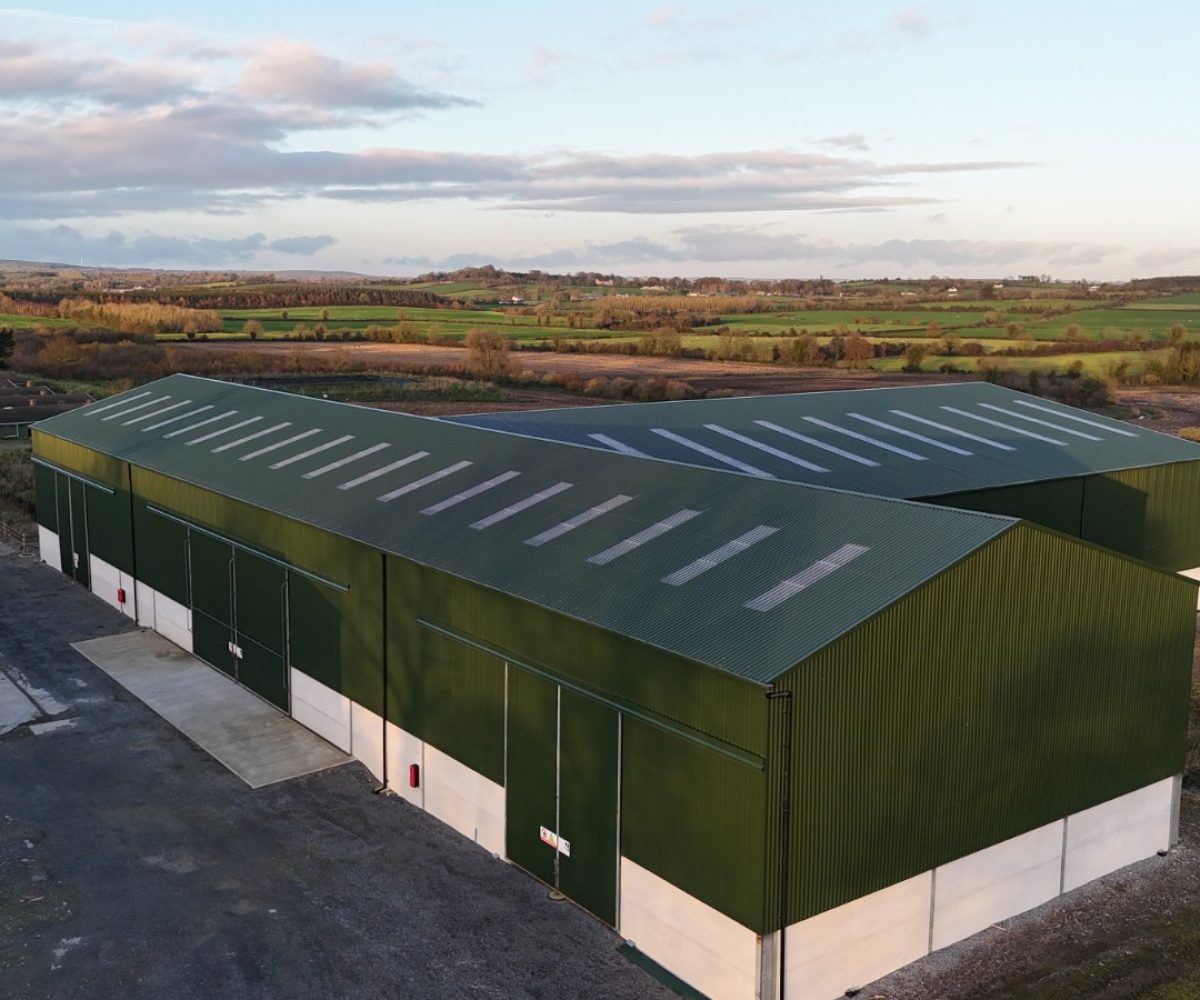 WhatsApp Image 2025-11-20 at 10.09.04 (1)