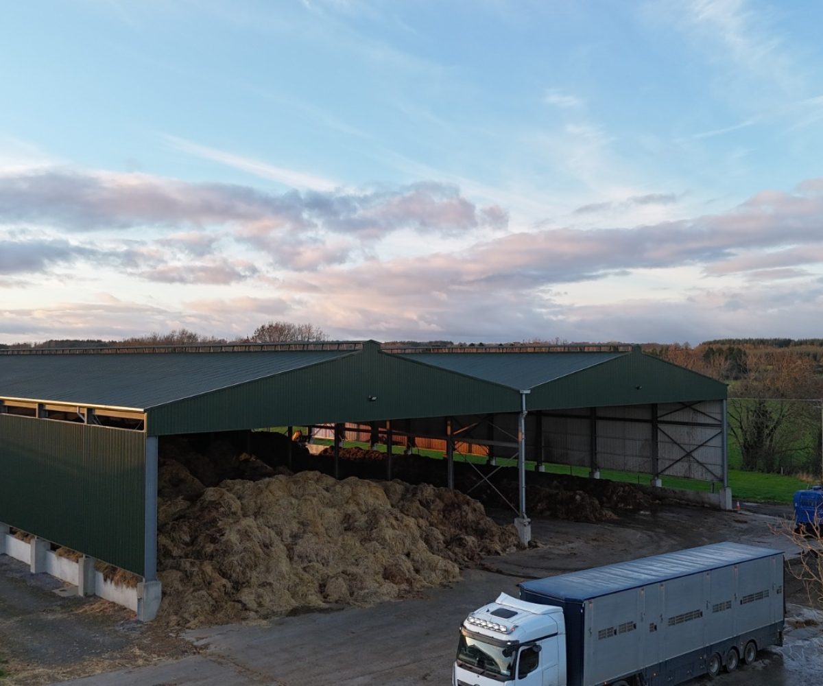 WhatsApp Image 2025-11-20 at 10.09.04