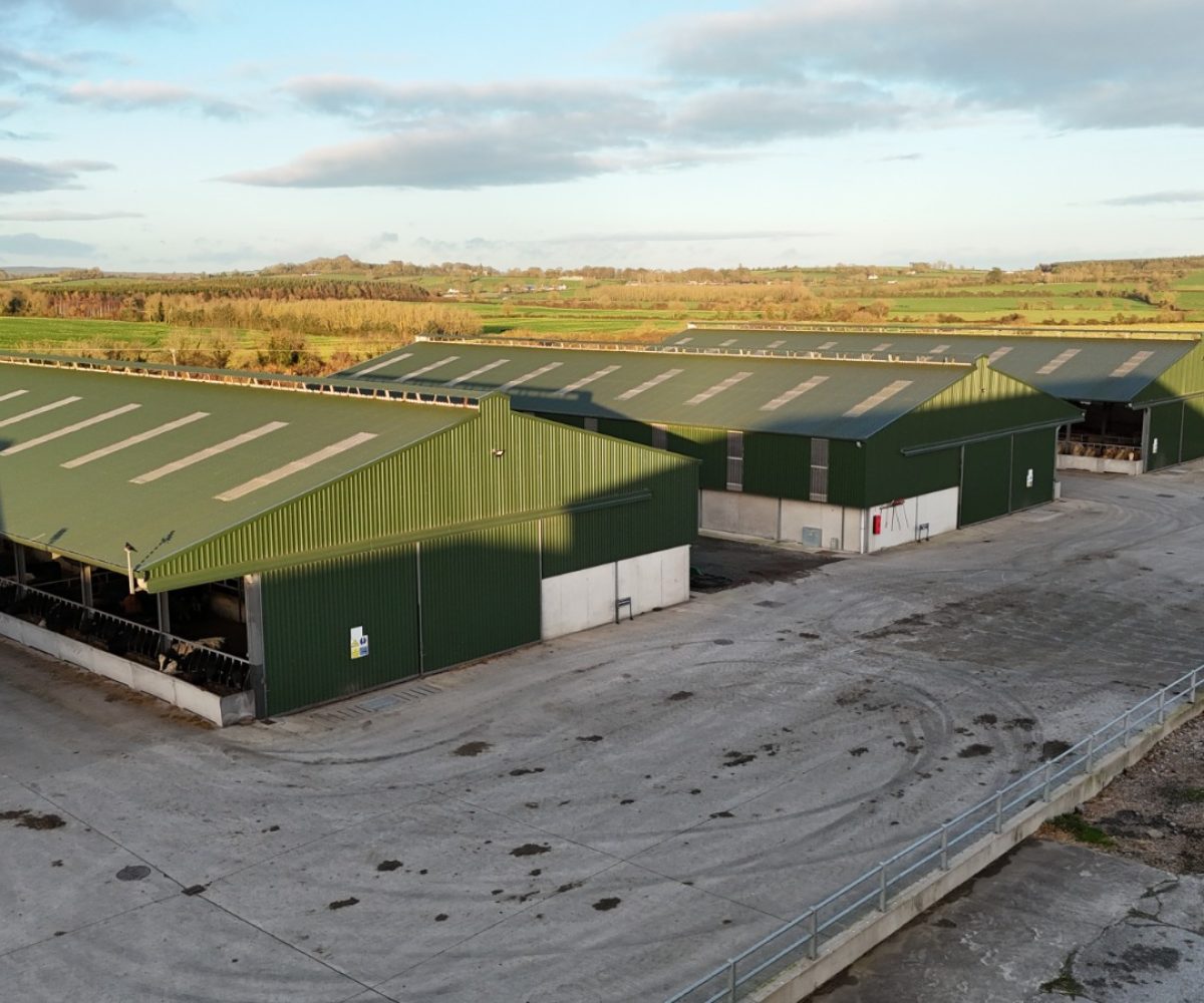 WhatsApp Image 2025-11-20 at 10.09.06 (1)