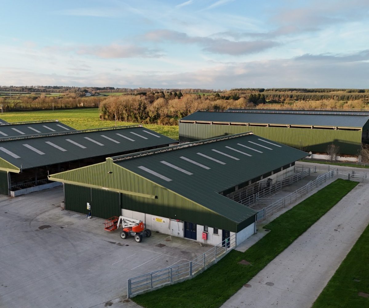 WhatsApp Image 2025-11-20 at 10.09.07