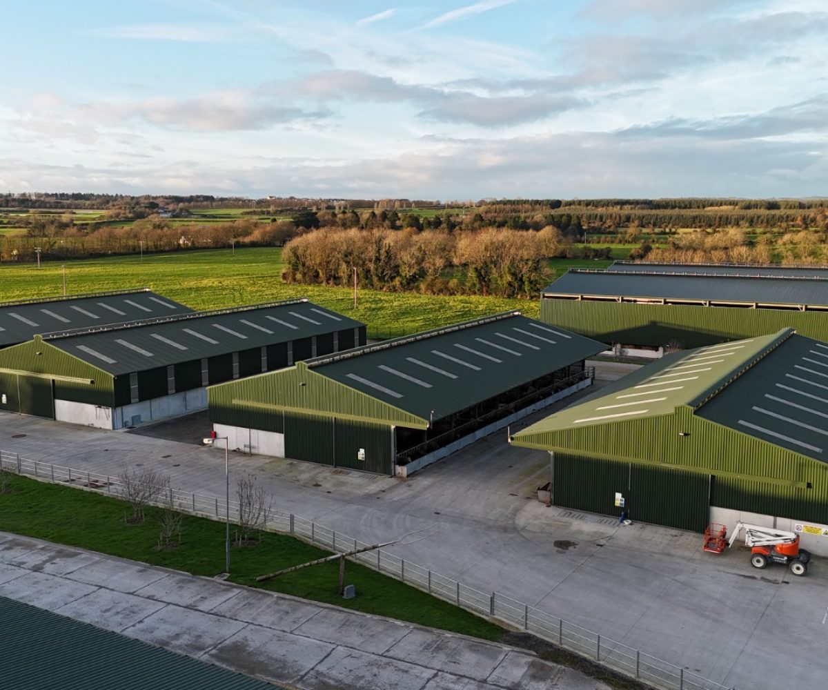 WhatsApp Image 2025-11-20 at 10.09.08